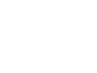 Monsieur le Fleuriste - Un fleuriste sur Paris 12ème qui partage sa passion