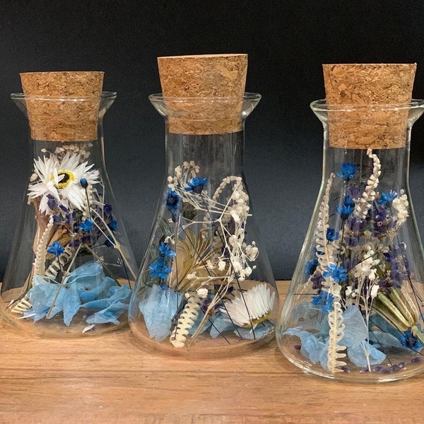 Erlenmeyer en fleurs séchées