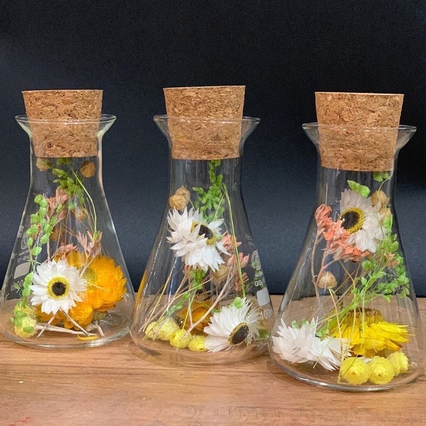 Erlenmeyer en fleurs séchées jaune