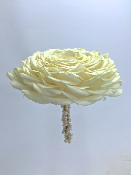 Glamélia de roses