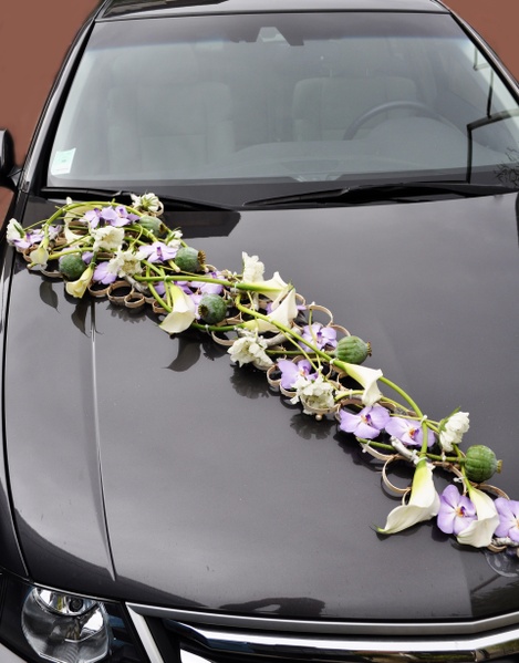 Décor voiture anneaux