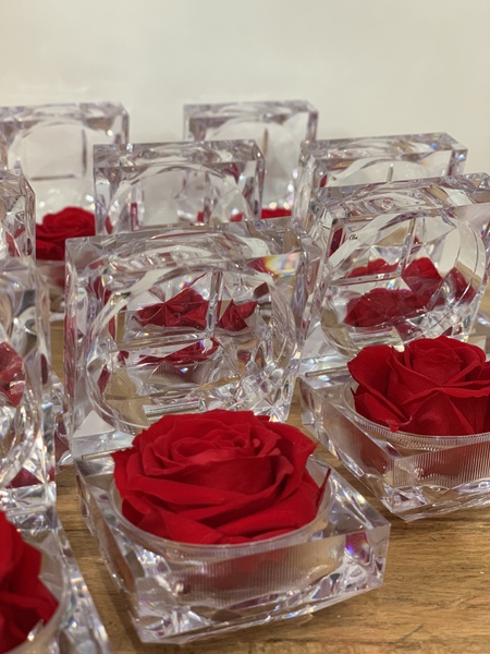 Mini rose stabilisée