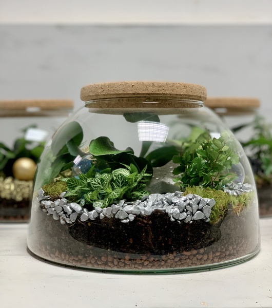 Terrarium 4