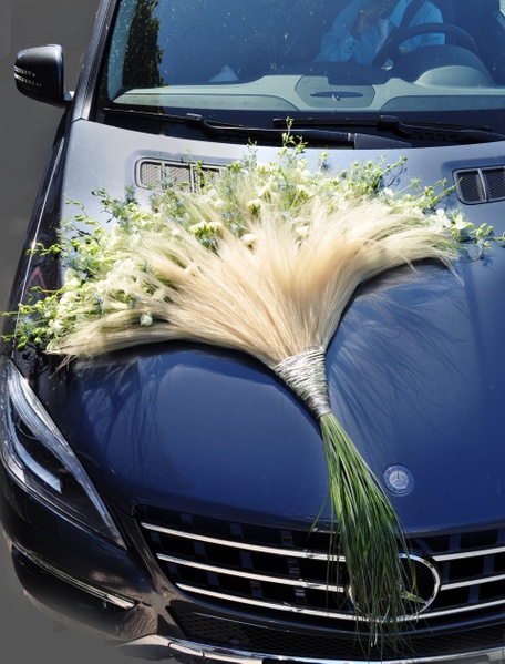 Décor voiture éventail